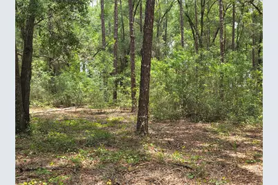 37600 Rolling Acres Road, Lady Lake, FL 32159 - Photo 52