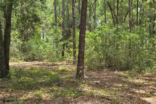 37600 Rolling Acres Rd, Lady Lake, FL 32159 - Photo 52