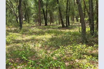 37600 Rolling Acres Road, Lady Lake, FL 32159 - Photo 58