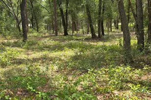 37600 Rolling Acres Rd, Lady Lake, FL 32159 - Photo 58