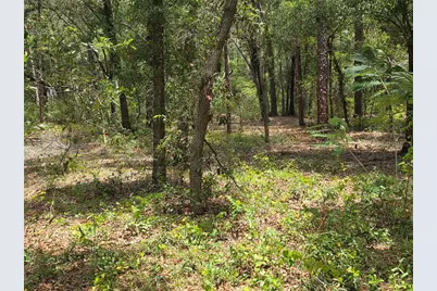 37600 Rolling Acres Road, Lady Lake, FL 32159 - Photo 56