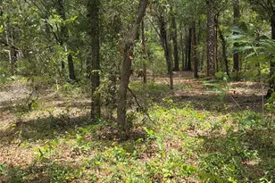 37600 Rolling Acres Rd, Lady Lake, FL 32159 - Photo 56