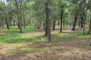 37600 Rolling Acres Rd, Lady Lake, FL 32159 - Photo 32