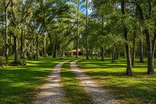 37600 Rolling Acres Rd, Lady Lake, FL 32159 - Photo 6