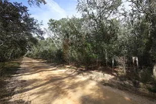 37600 Rolling Acres Rd, Lady Lake, FL 32159 - Photo 26