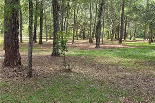 37600 Rolling Acres Rd, Lady Lake, FL 32159 - Photo 34