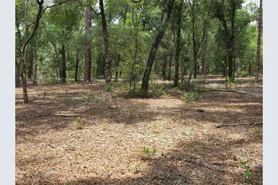37600 Rolling Acres Road, Lady Lake, FL 32159 - Photo 46