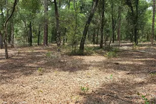 37600 Rolling Acres Rd, Lady Lake, FL 32159 - Photo 46