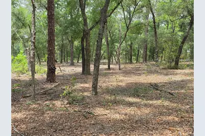 37600 Rolling Acres Road, Lady Lake, FL 32159 - Photo 44
