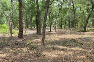 37600 Rolling Acres Rd, Lady Lake, FL 32159 - Photo 44