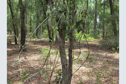 37600 Rolling Acres Road, Lady Lake, FL 32159 - Photo 40