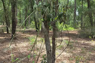 37600 Rolling Acres Rd, Lady Lake, FL 32159 - Photo 40
