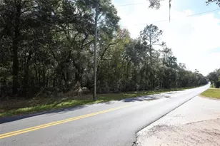 37600 Rolling Acres Rd, Lady Lake, FL 32159 - Photo 30