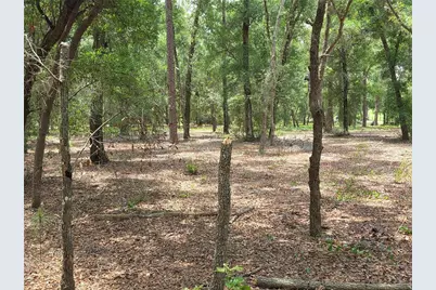37600 Rolling Acres Road, Lady Lake, FL 32159 - Photo 36