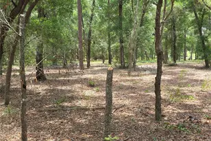 37600 Rolling Acres Rd, Lady Lake, FL 32159 - Photo 36