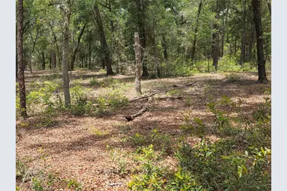 37600 Rolling Acres Road, Lady Lake, FL 32159 - Photo 50