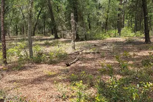 37600 Rolling Acres Rd, Lady Lake, FL 32159 - Photo 50