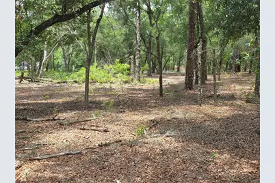 37600 Rolling Acres Road, Lady Lake, FL 32159 - Photo 42