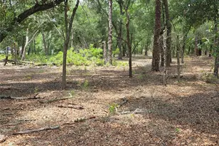 37600 Rolling Acres Rd, Lady Lake, FL 32159 - Photo 42