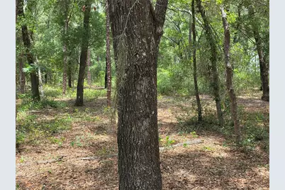 37600 Rolling Acres Road, Lady Lake, FL 32159 - Photo 48