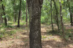 37600 Rolling Acres Rd, Lady Lake, FL 32159 - Photo 48