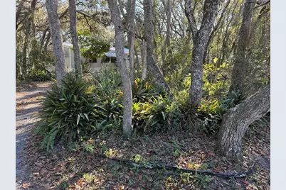 13218 Vivian Lane, Hudson, FL 34669 - Photo 4