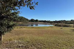 13218 Vivian Ln, Hudson, FL 34669 - Photo 8