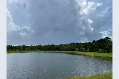 3430 Sagebrush Street, Harmony, FL 34773 - Photo 8