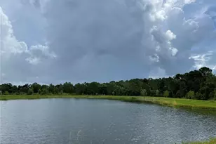 3430 Sagebrush St, Harmony, FL 34773 - Photo 8