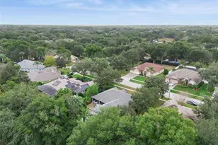 833 Rock Creek St, Apopka, FL 32712 - Photo 54