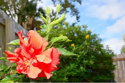 2445 Christine Drive, Titusville, FL 32796 - Photo 20