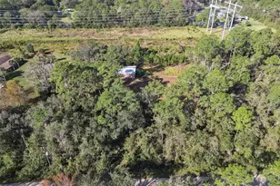 Brigham Loop, Geneva, FL 32732 - Photo 42