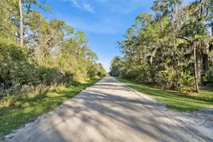 Brigham Loop, Geneva, FL 32732 - Photo 8