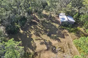 Brigham Loop, Geneva, FL 32732 - Photo 40