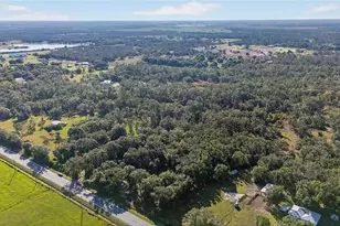 41750 State Road 64 E, Myakka City, FL 34251 - Photo 4