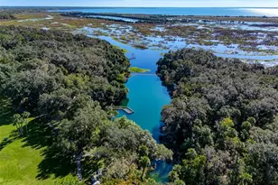 523 Orient Ave, Debary, FL 32713 - Photo 52