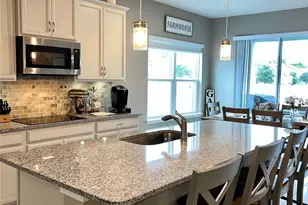 456 Winter Solstice Ln, Mount Dora, FL 32757 - Photo 16