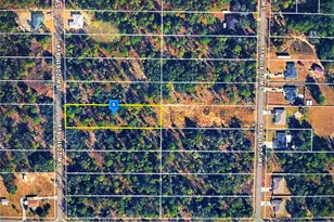 SW 206th Ave, Dunnellon, FL 34431 - Photo 1
