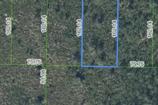 2621 Lariat Dr, Lorida, FL 33857 - Photo 1