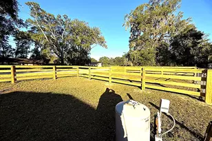 3700 W Hwy 316, Reddick, FL 32686 - Photo 2