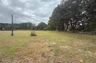 3700 W Hwy 316, Reddick, FL 32686 - Photo 6