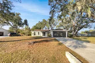 3305 Peacock Ln, Mulberry, FL 33860 - Photo 20