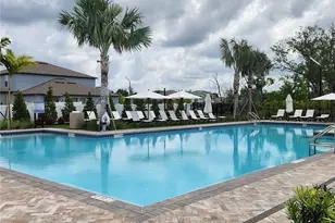 10353 Scarlet Skimmer Dr, Riverview, FL 33578 - Photo 26