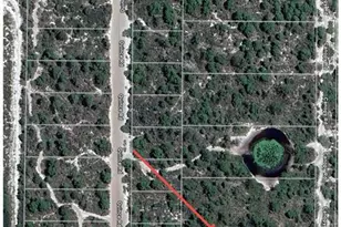 5907 Canopy Rd, Sebring, FL 33875 - Photo 6