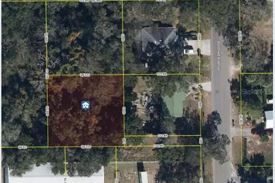 2834 Winifred Avenue, Zellwood, FL 32798 - Photo 2