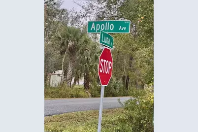 5025 Apollo Avenue, Saint Cloud, FL 34773 - Photo 42