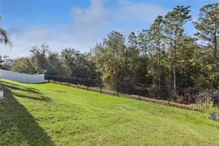 5864 Alenlon Way, Mount Dora, FL 32757 - Photo 44