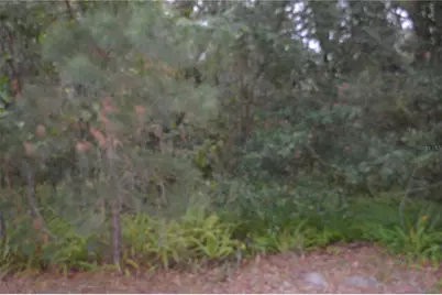 0 Hester Avenue Avenue, Sanford, FL 32773 - Photo 6