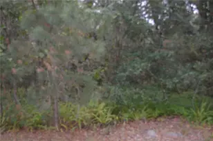 0 Hester Ave Ave, Sanford, FL 32773 - Photo 6