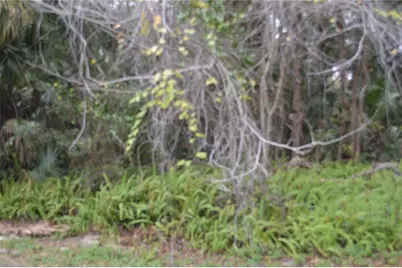 0 Hester Avenue Avenue, Sanford, FL 32773 - Photo 2